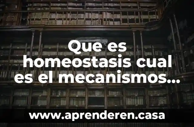 Que es frame en mecanismos 3 Que es homeostasis cual es el mecanismos para conservarlos