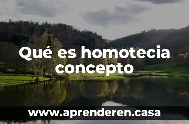 Qué es homotecia concepto