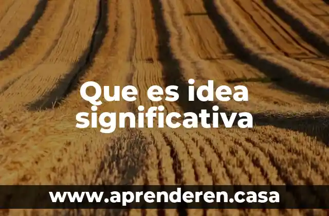 Que es idea significativa