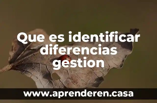 Que es identificar diferencias gestion
