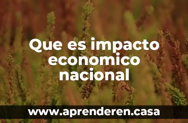 Que es impacto economico nacional