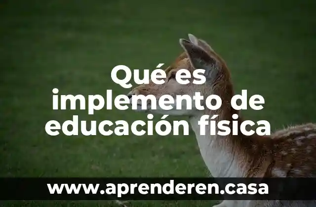 Qué es implemento de educación física