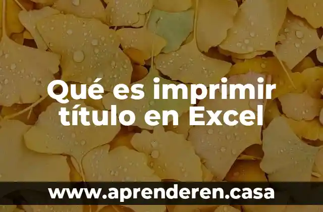 Qué es imprimir título en Excel
