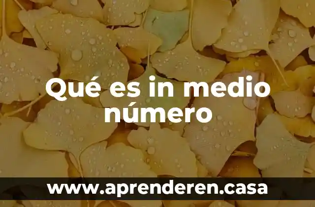 Qué es in medio número