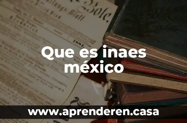 Que es inaes méxico