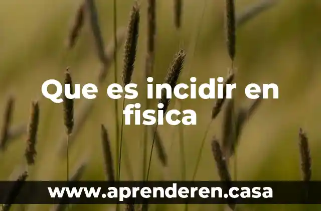 Que es incidir en fisica