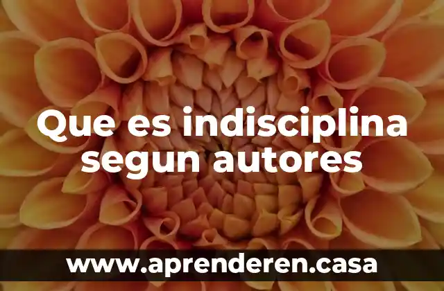 Que es discapacidad multiple con autores 6 Que es indisciplina segun autores