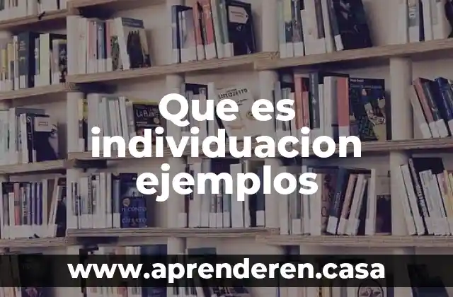 Que es individuacion ejemplos