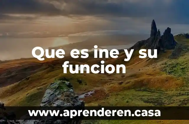 Que es ine y su funcion