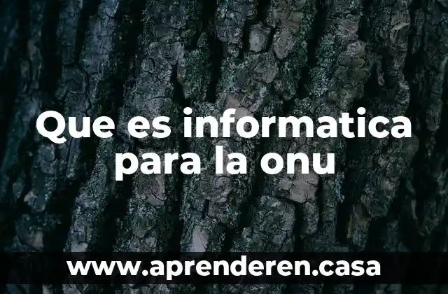 Que es informatica para la onu