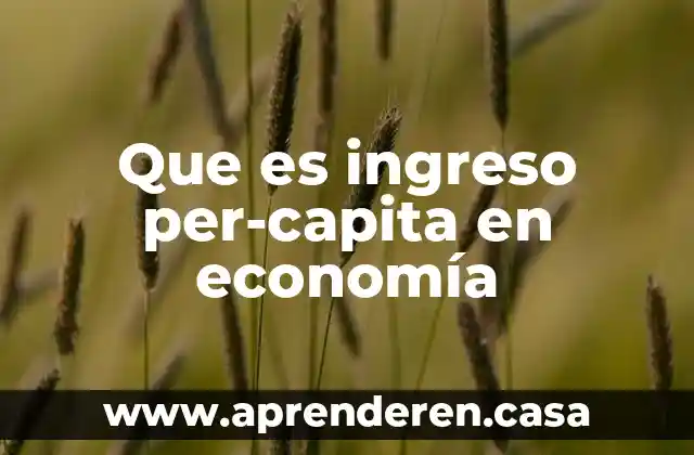 Que es ingreso per-capita en economía