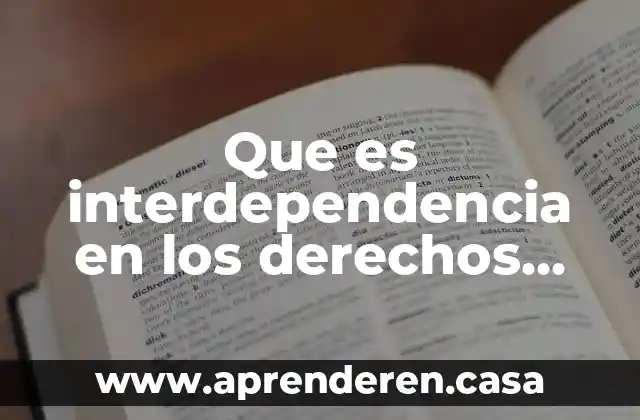 Que es interdependencia en los derechos humanos