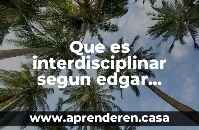 Que es interdisciplinar segun edgar morin