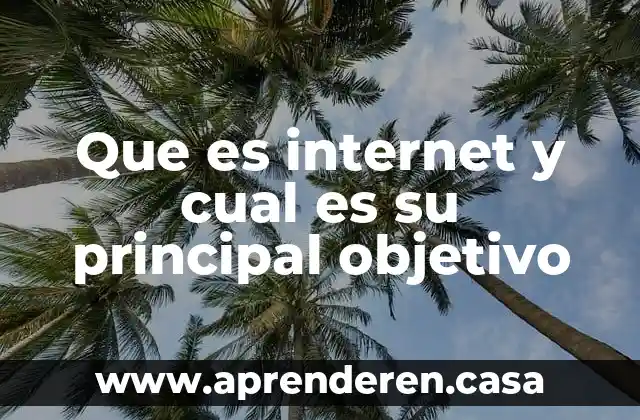 Que es internet y cual es su principal objetivo