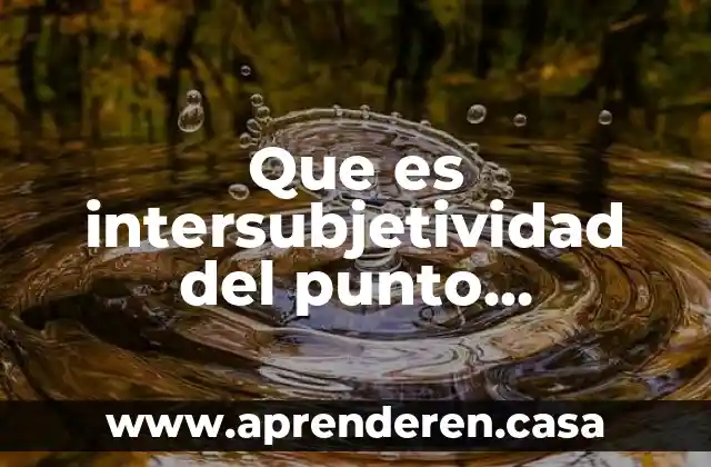 Que es el punto medio de aristoteles 7 Que es intersubjetividad del punto sociologico