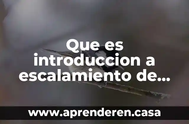 Que es introduccion a escalamiento de redes