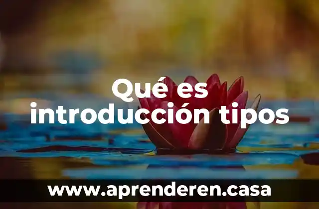 Qué es introducción tipos