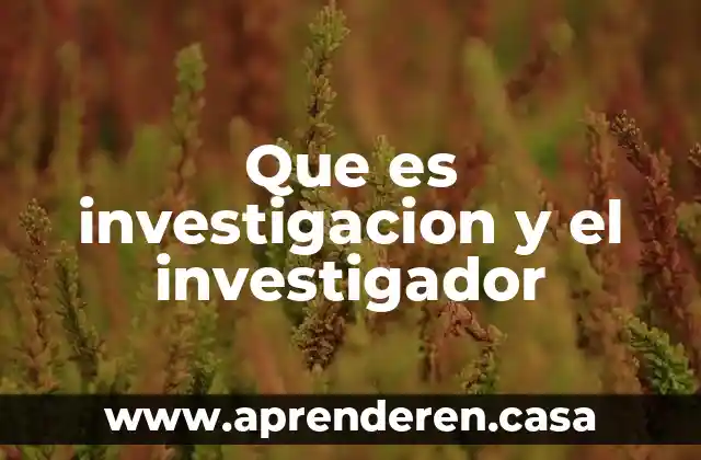 Que es investigacion y el investigador