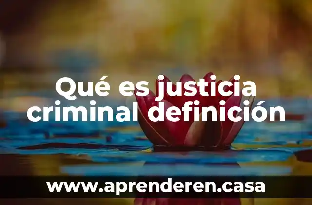 Qué es justicia criminal definición