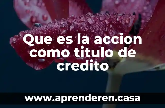 Que es un credito de reporto 7 Que es la accion como titulo de credito