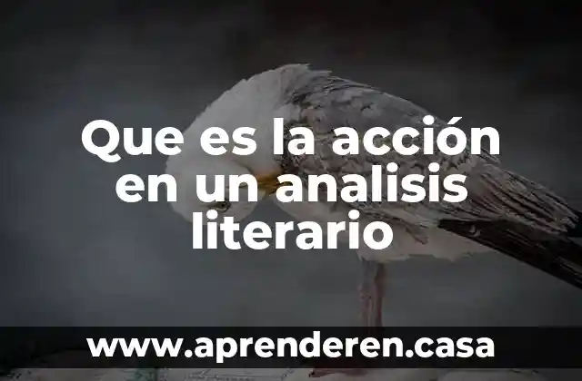 Que es la acción en un analisis literario