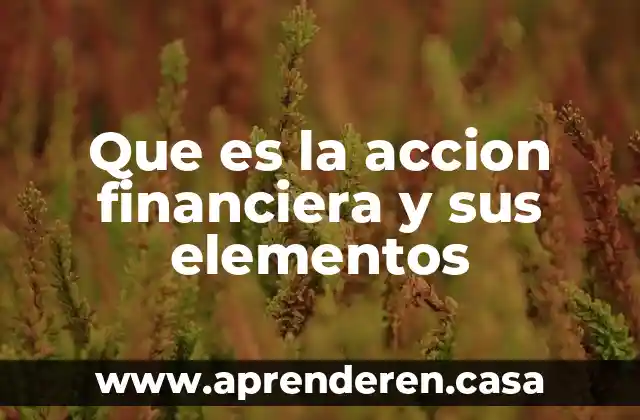 Que es la accion financiera y sus elementos