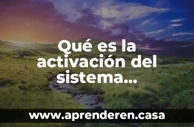 Qué es la activación del sistema renina-angiotensina
