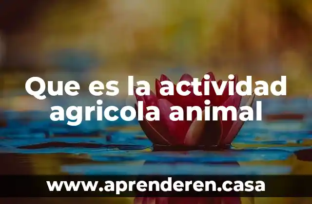 Que es la actividad agricola animal