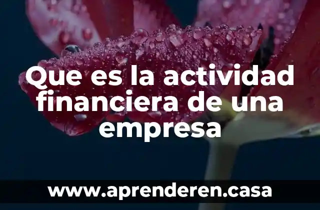 Que es la importancia de la informacion financiera 3 Que es la actividad financiera de una empresa