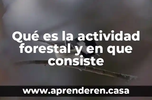 Qué es la actividad forestal y en que consiste