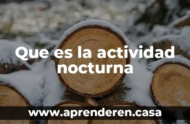 Que es una actividad hipersicronica 3 Que es la actividad nocturna