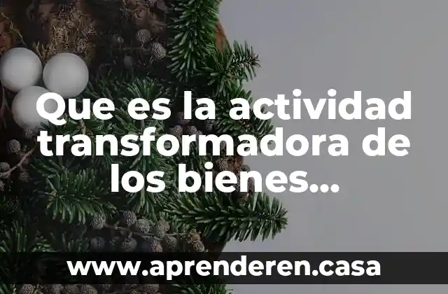 Qué es gestión sustentable de bienes y gobernanza global 3 Que es la actividad transformadora de los bienes economicos