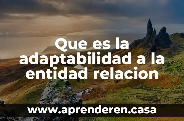 Que es la adaptabilidad a la entidad relacion