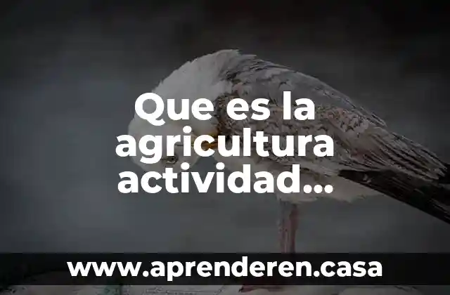 Qué es una falacia económica 3 Que es la agricultura actividad económica