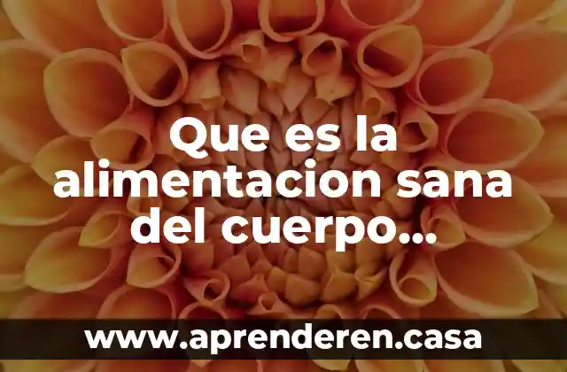 Qué es corte transversal en el cuerpo humano 8 Que es la alimentacion sana del cuerpo humano