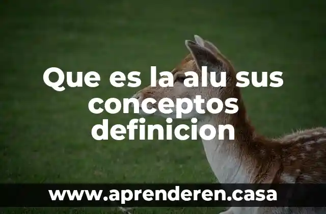 Que es la alu sus conceptos definicion