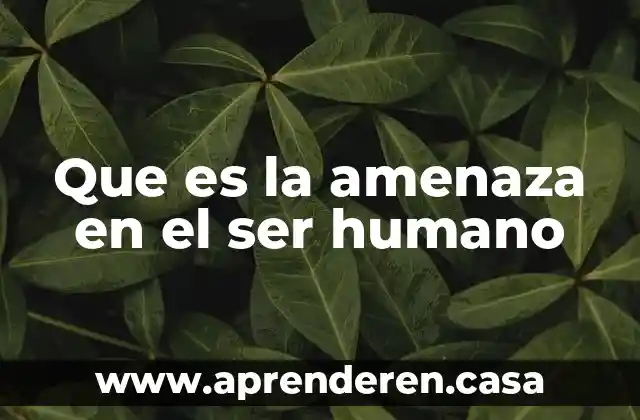 Que es un derecho humano fundamental 4 Que es la amenaza en el ser humano