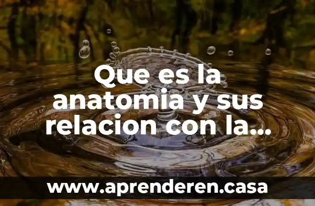 Que es una relacion intelectual 4 Que es la anatomia y sus relacion con la histologia