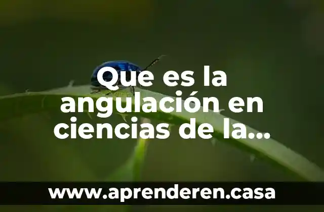 Que es la enseñanza de las ciencias 6 Que es la angulación en ciencias de la salud