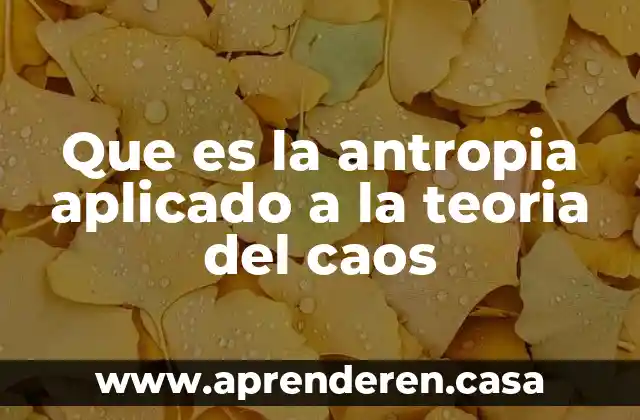 Que es la antropia aplicado a la teoria del caos