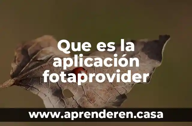 Que es la aplicación fotaprovider