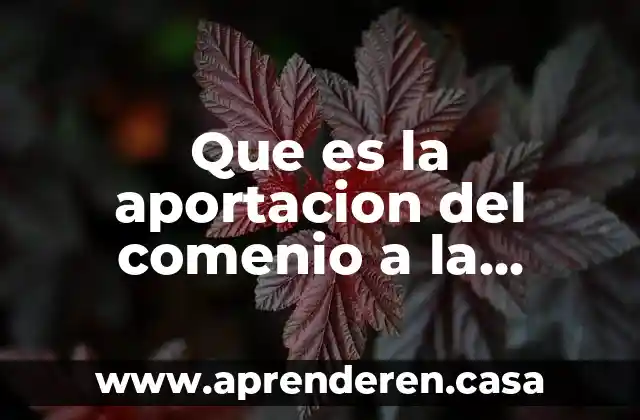 Que es la aportacion del comenio a la educacion
