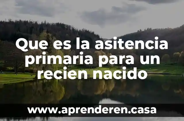 Que es la asitencia primaria para un recien nacido