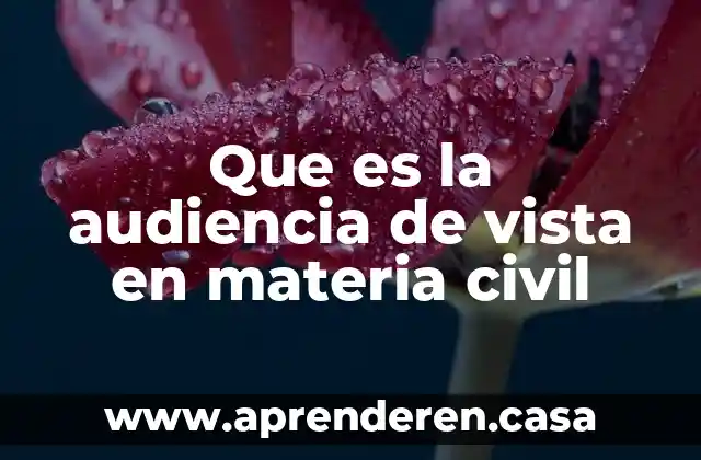 Que es un proyecto cientifico estudiantil 3 Que es la audiencia de vista en materia civil