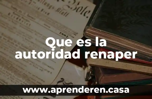 Administracion que es autoridad 4 Que es la autoridad renaper