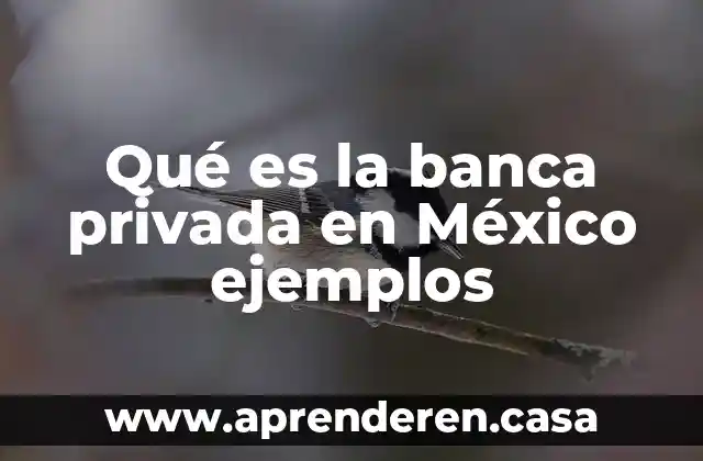Qué es la banca privada en México ejemplos