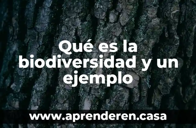 Que es la polaridad de las moleculas ejemplo 7 Qué es la biodiversidad y un ejemplo