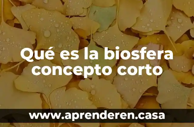 Qué es la biosfera concepto corto