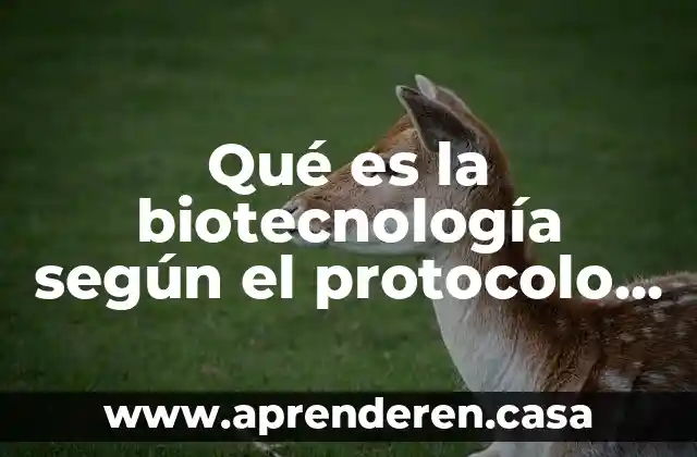 Que es la estructura del protocolo de investigacion 7 Qué es la biotecnología según el protocolo de Cartagena