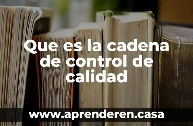 Que es la cadena de control de calidad